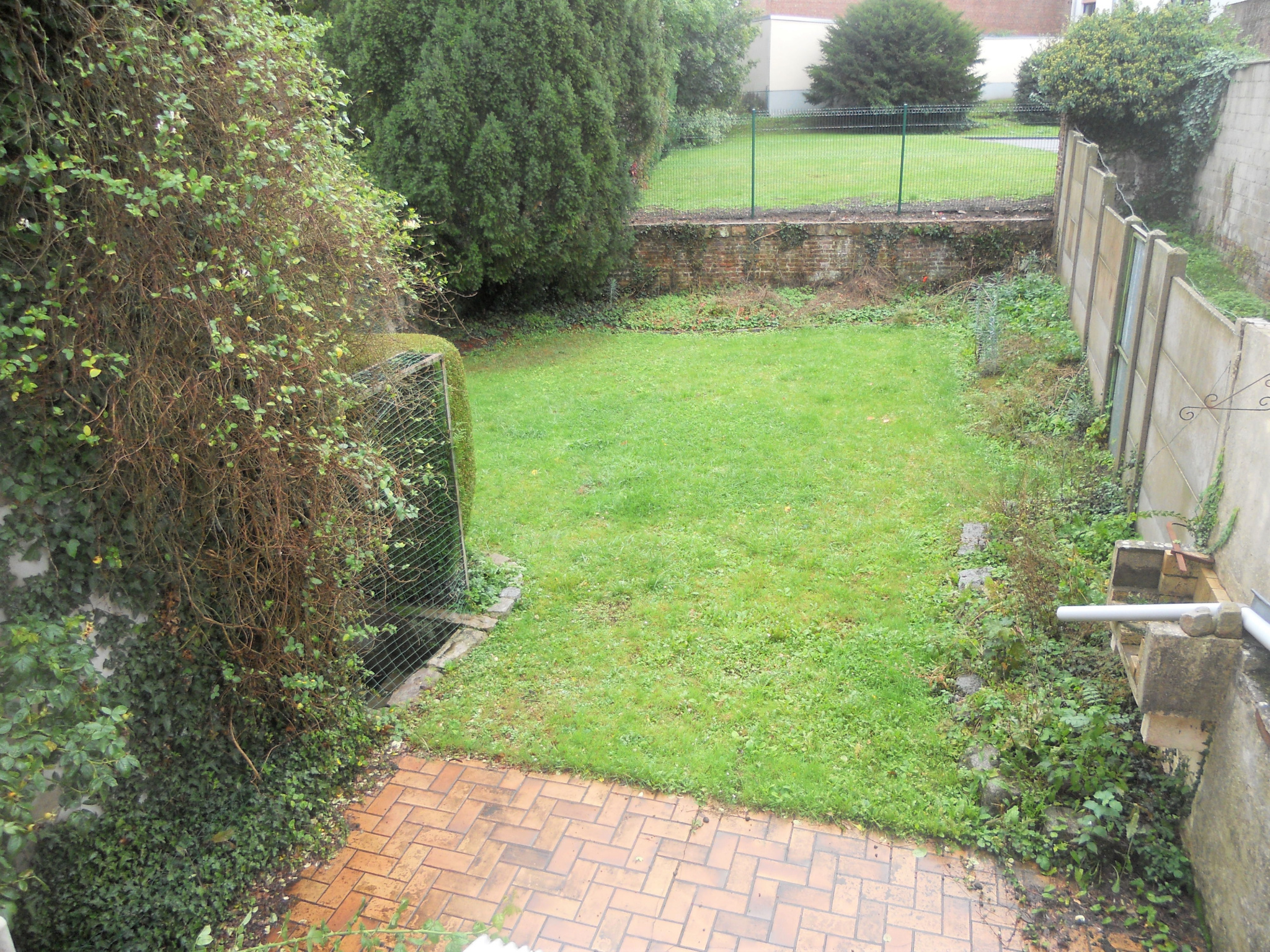 Photo 5